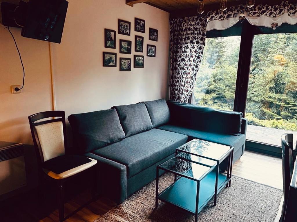 Butorowy Cichy Potok Apartment Koscielisko Bagian luar foto
